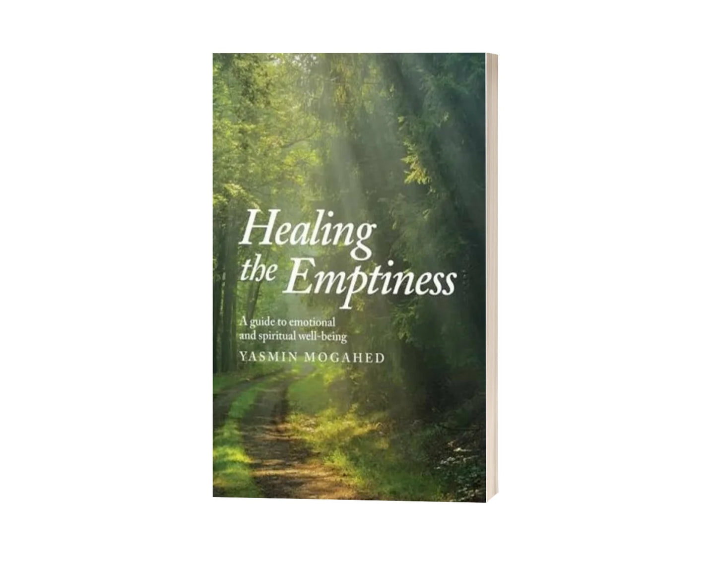 Healing the Emptiness (Original)