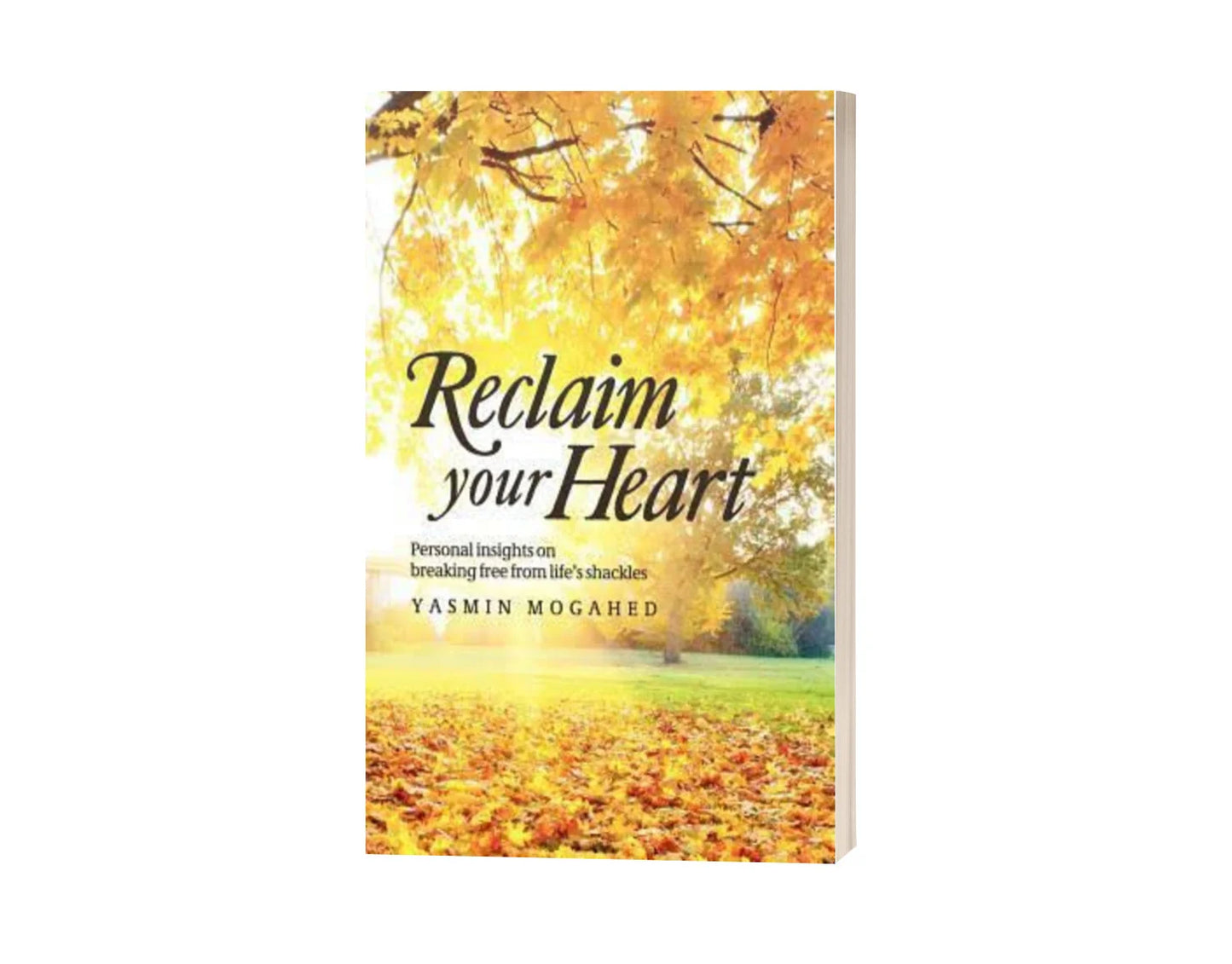 Reclaim Your Heart (Original)