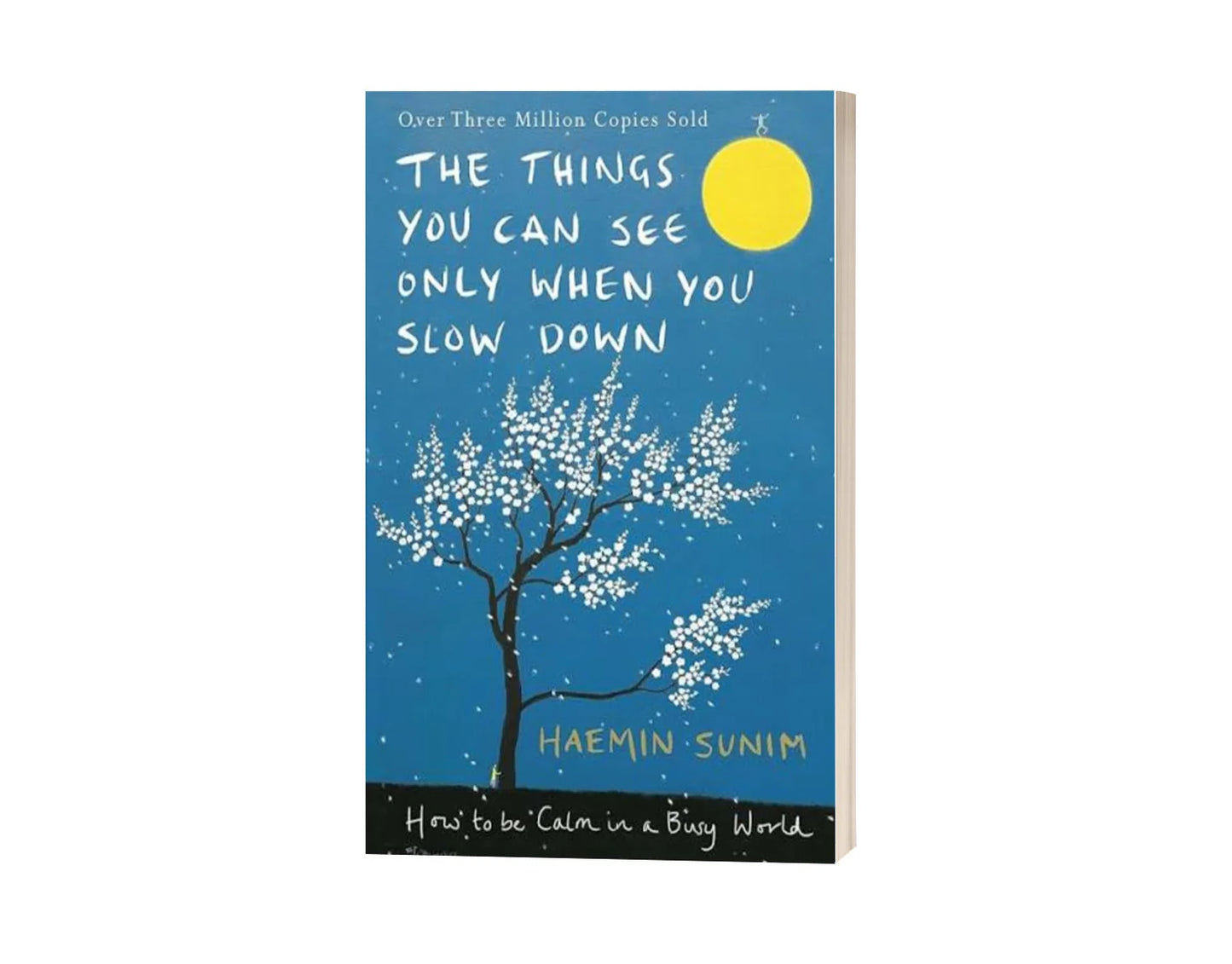 The Things You Can See Only When You Slow Down