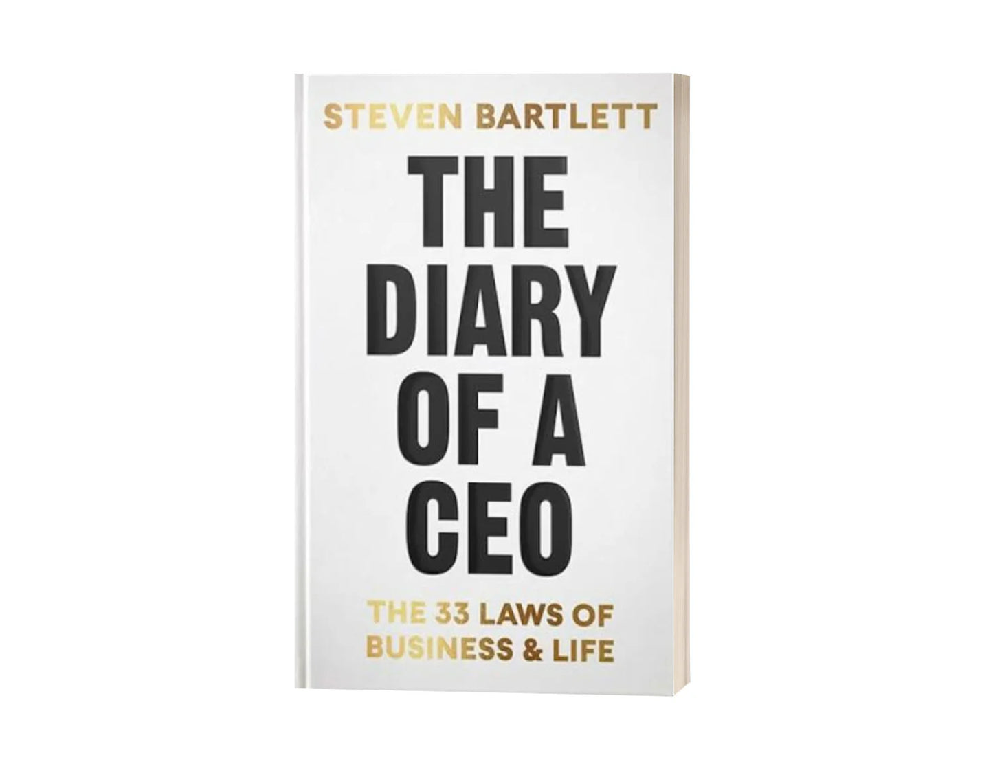 The Diary of a CEO