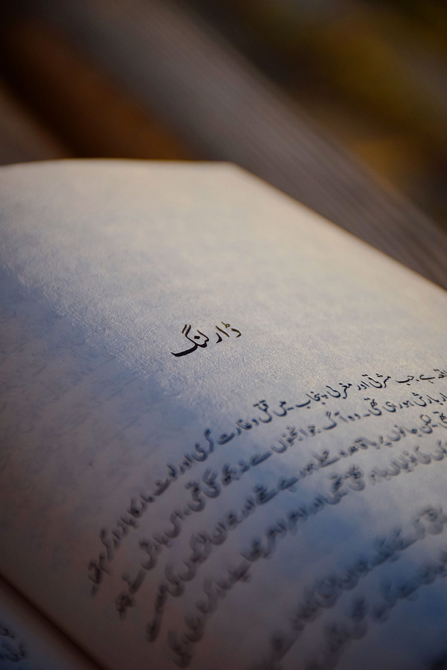 Urdu Novels