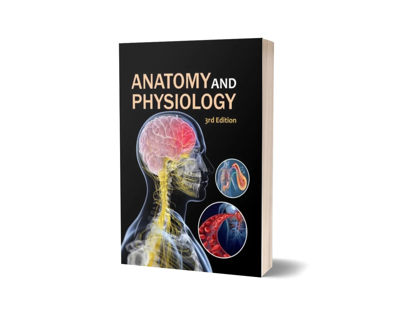 Anatomy and Physiology (3rd Edition)
