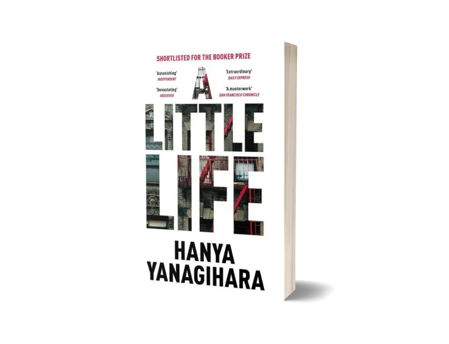 A Little Life